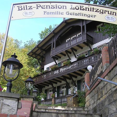 Hotel Bilz-Pension Radebeul Exterior foto