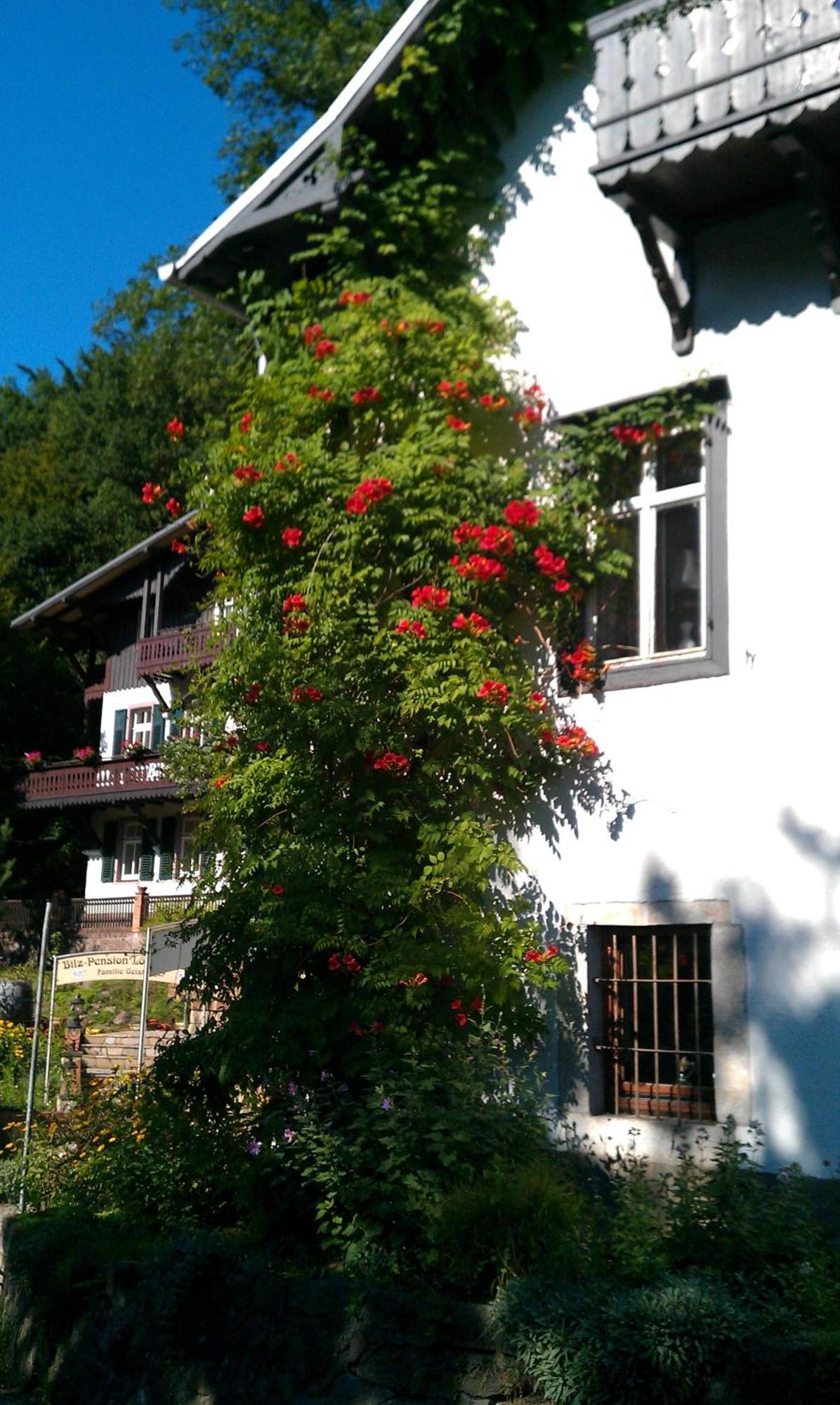 Hotel Bilz-Pension Radebeul Exterior foto