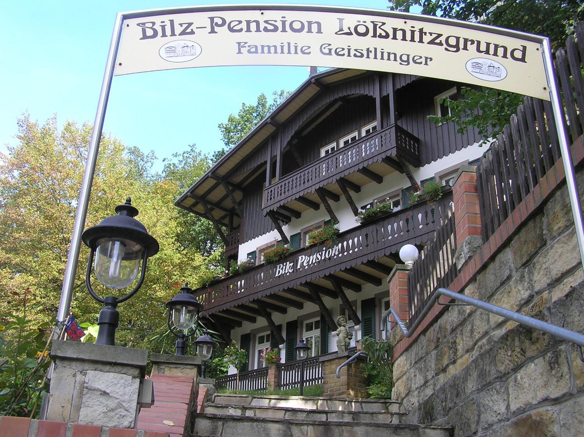 Hotel Bilz-Pension Radebeul Exterior foto